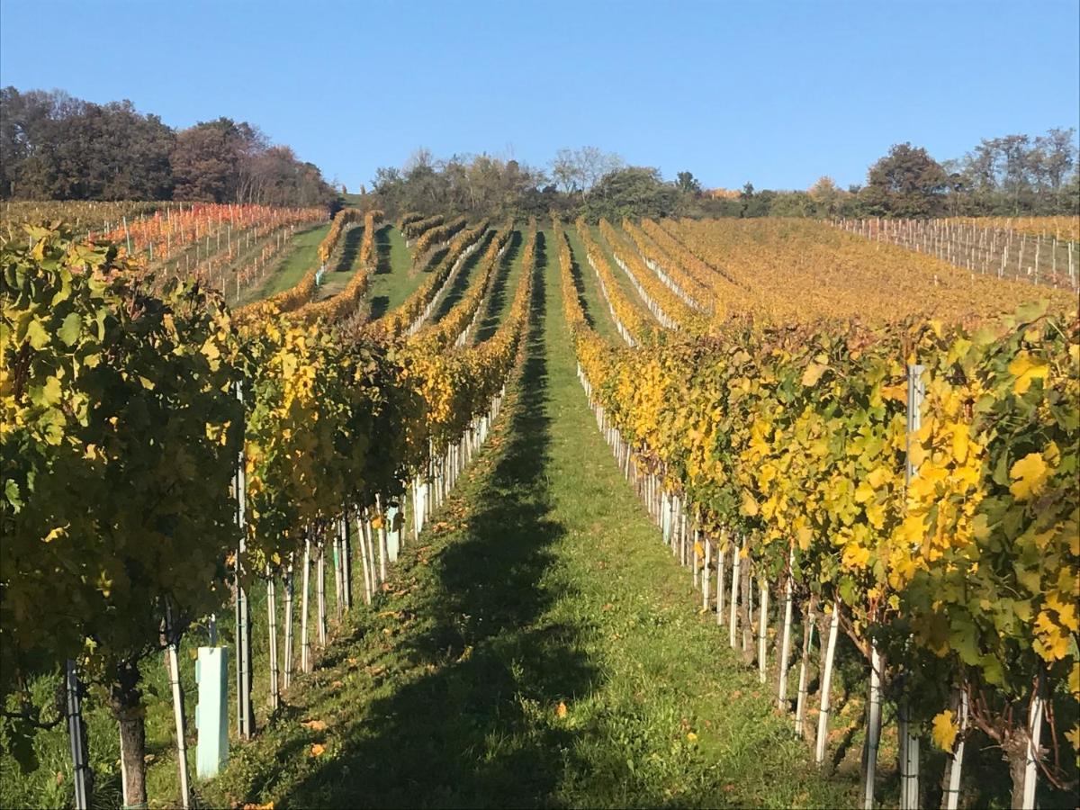 Weingut & Gaestezimmer Edelmann Goettlesbrunn Exterior photo