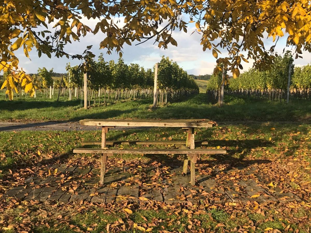 Weingut & Gaestezimmer Edelmann Goettlesbrunn Exterior photo