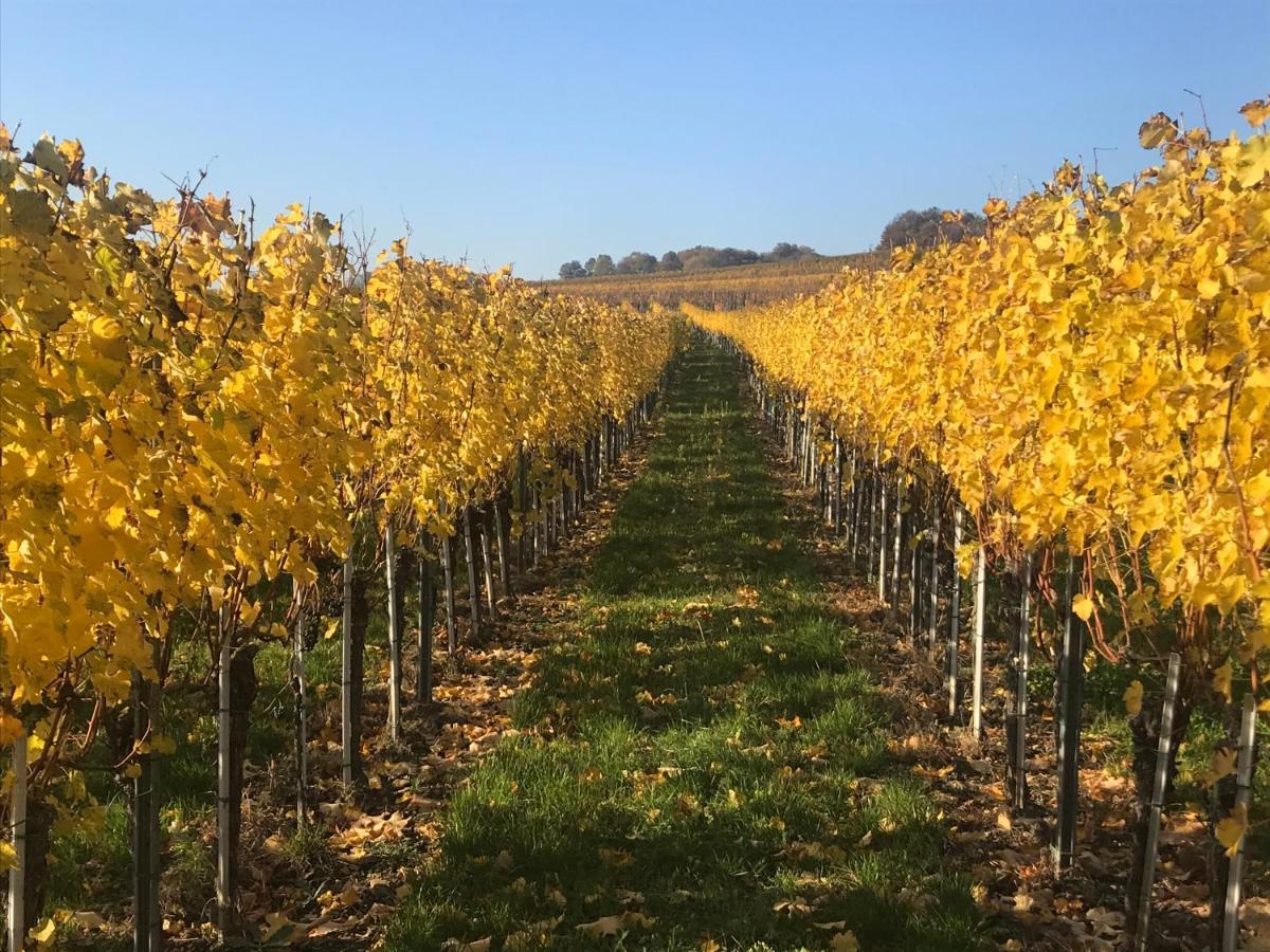 Weingut & Gaestezimmer Edelmann Goettlesbrunn Exterior photo