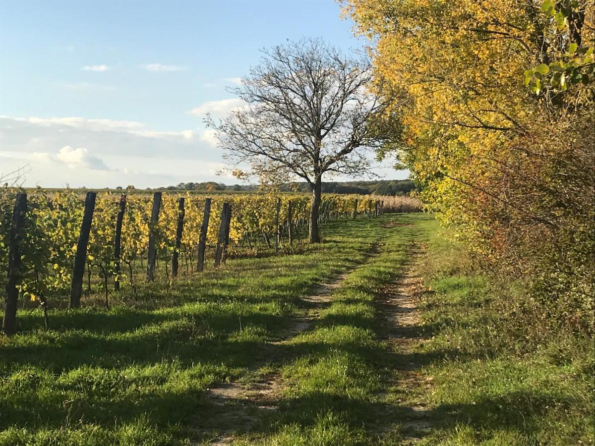 Weingut & Gaestezimmer Edelmann Goettlesbrunn Exterior photo